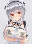 Picked-up-a-Demon-King-to-be-a-Maid-193×278